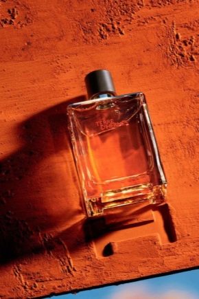 Popis pánskeho parfumu Hermes
