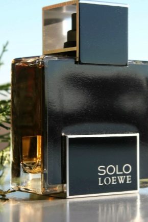 Descrição do perfume masculino Loewe