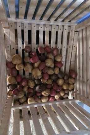 How to store potatoes on the balcony?