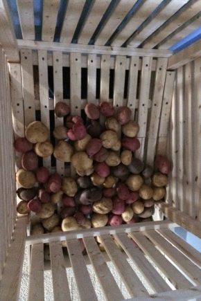 Comment conserver les pommes de terre sur le balcon ?