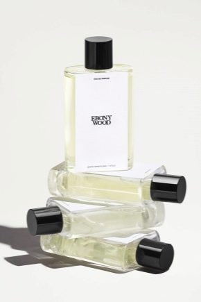 Perfume masculino Zara