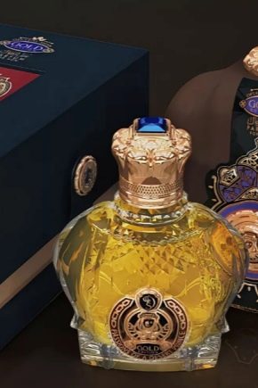 Pahalı erkek parfümünün gözden geçirilmesi