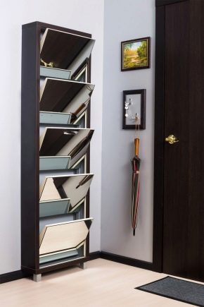 Shoe rack with mirror in the hallway