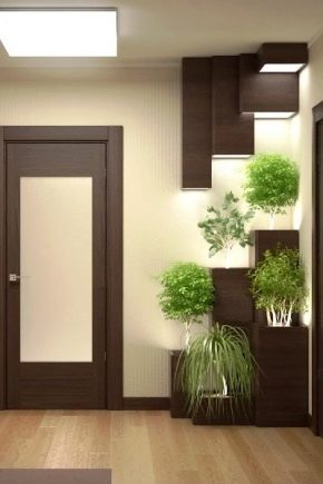 Σκιές που αγαπούν τα φυτά εσωτερικού χώρου για το διάδρομο