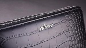 กระเป๋าสตางค์ผู้ชาย Brioni: ข้อดีและข้อเสีย, ความหลากหลาย, ตัวเลือก