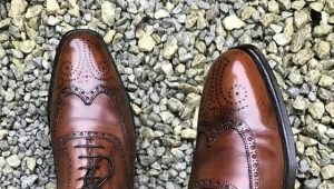 Giày nam màu nâu: Làm thế nào để chọn và những gì để mặc với?