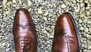 Brown men's shoes: how to choose and what to wear with?