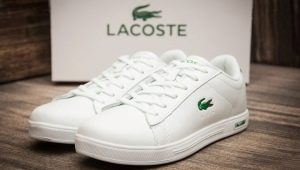 Ανδρικά αθλητικά παπούτσια Lacoste: χαρακτηριστικά και επιλογές
