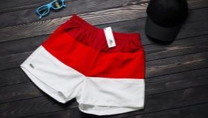 Escolhendo shorts masculinos Lacoste
