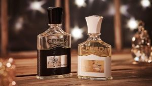 Reseña del perfume para hombre Creed