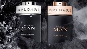 Description of Bvlgari men's perfumery