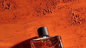 Описание на мъжки парфюм Hermes