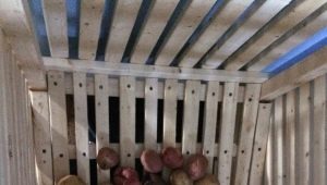 How to store potatoes on the balcony?