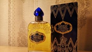 Description of men's perfume Novaya Zarya