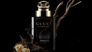 Paglalarawan ng pabango ng kalalakihan ng Gucci