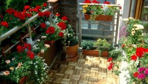 Landscaping of balconies and loggias