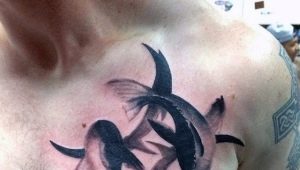 Revisão de tatuagens masculinas com o signo do zodíaco Peixes