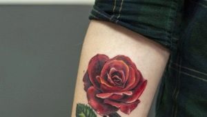 Oversigt over mænds tatoveringer i form af en rose på armen og deres placering