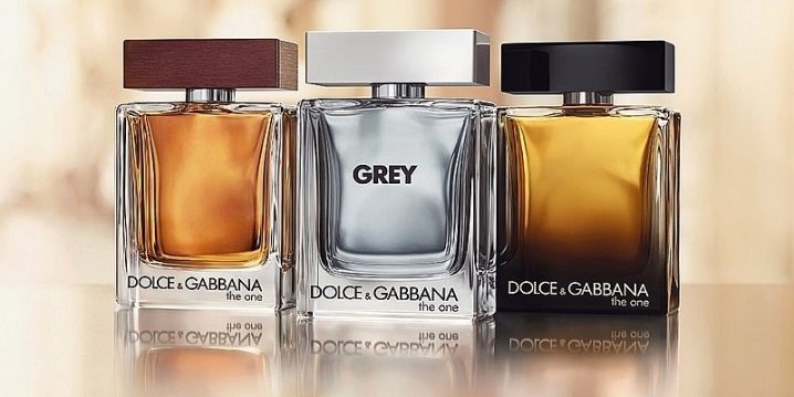 Wszystko o męskiej perfumerii Dolce & Gabbana