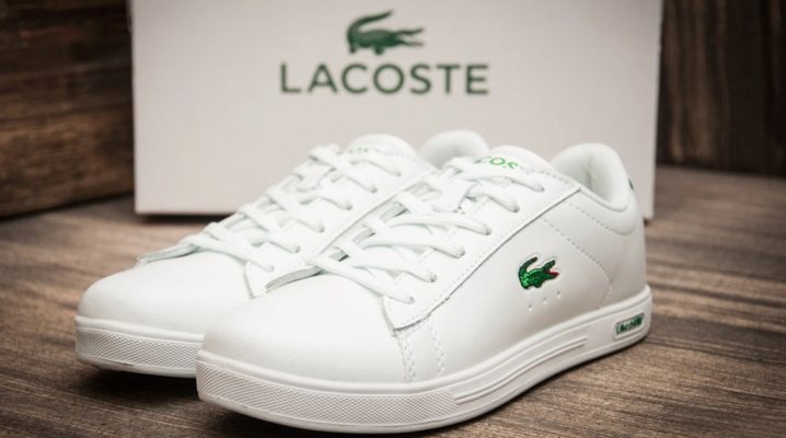 Lacoste men's sneakers: features and choices