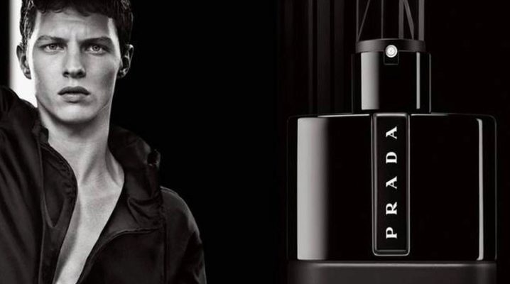 Miesten hajuvesi, Prada