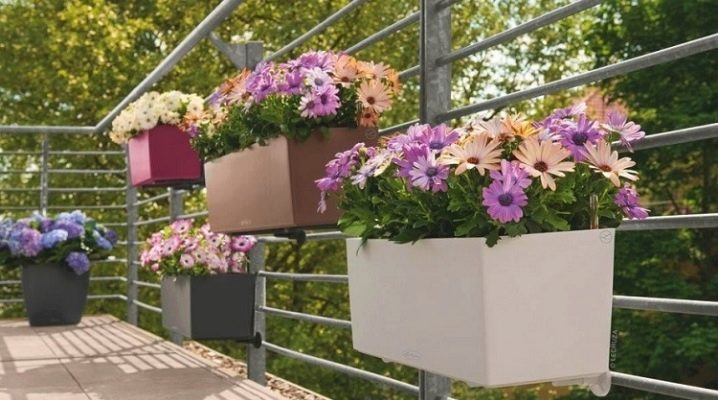 Balcony boxes, planters and flower pots