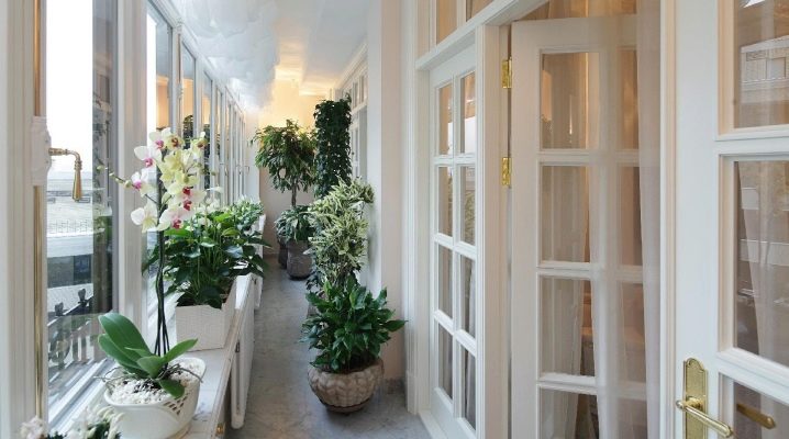 Comment faire un jardin sur le balcon et la loggia ?