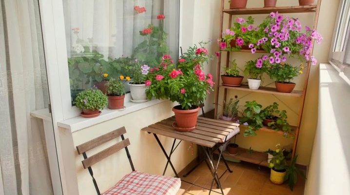 What flowers to plant on the balcony and how to combine them?