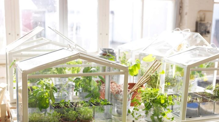 Arrangement of a greenhouse on the balcony