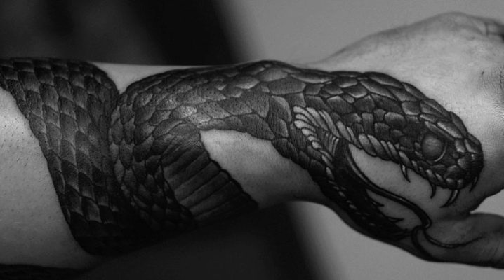 Kādi ir čūsku tēviņu tetovējumi un kur tos iegūt?