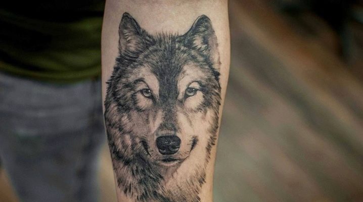 Sve o muškim tetovažama vuka