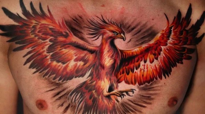 Semua mengenai tatu phoenix untuk lelaki
