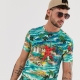 T-shirts til mænd med tryk: en række forskellige modeller