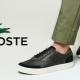 Sapatos masculinos Lacoste