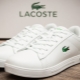 Ανδρικά αθλητικά παπούτσια Lacoste: χαρακτηριστικά και επιλογές