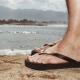 รองเท้าชายหาดของผู้ชาย: จะเกิดอะไรขึ้นและจะเลือกอย่างไร?