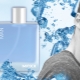 Men's perfumery Mexx