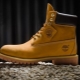 Botas masculinas Timberland