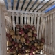 How to store potatoes on the balcony?