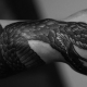 Co jsou tetování mužských hadů a kde je sehnat?