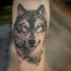 Todo sobre los tatuajes de lobos masculinos