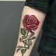 Visão geral das tatuagens masculinas em forma de rosa no braço e sua localização