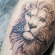 Visão geral das tatuagens de leão para homens e sua localização